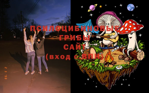 ешки Вяземский
