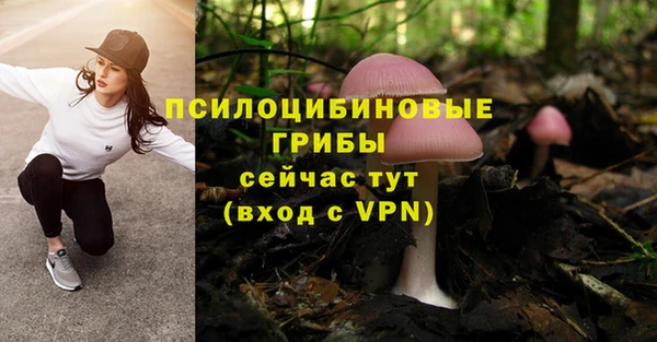 спиды Алзамай