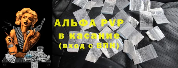 амф Алексин