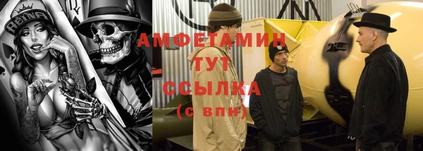 амф Алексин